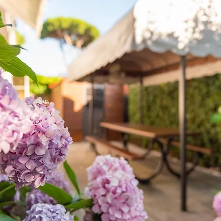 Apartment Versilia *
