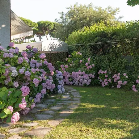Versilia Apartment Camaiore