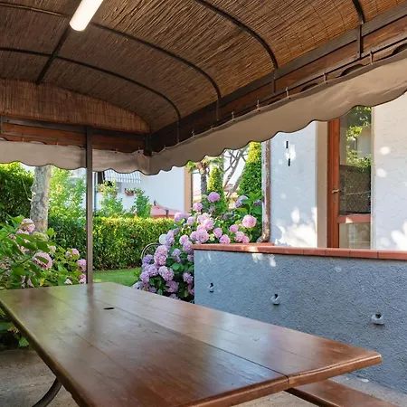 Versilia Apartment Camaiore